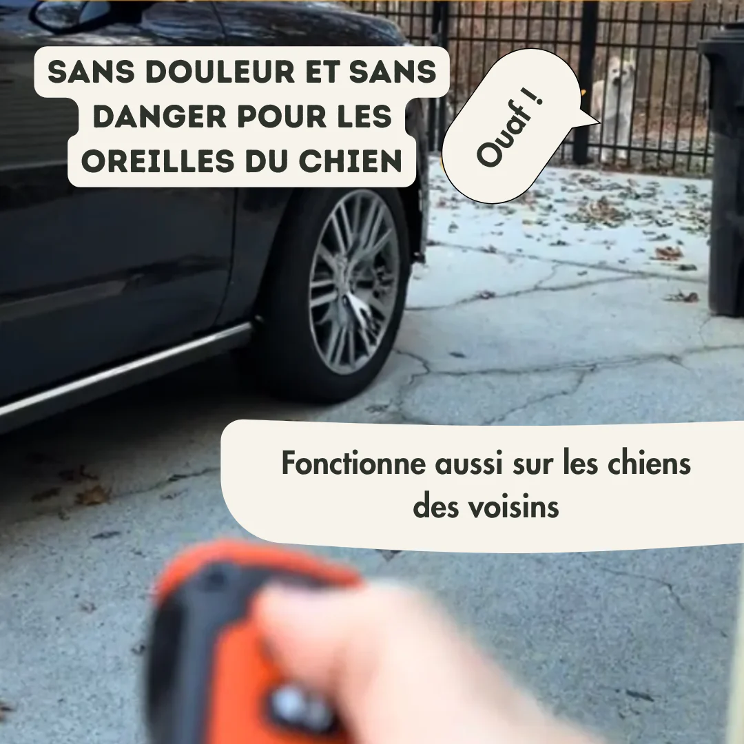 CalmOne™ - Calme délicatement les aboiements d'une simple pression