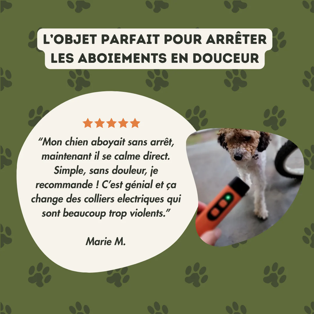 CalmOne™ - Calme délicatement les aboiements d'une simple pression
