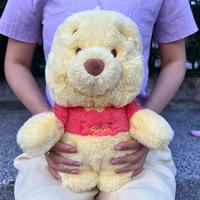 Winnie the Pooh